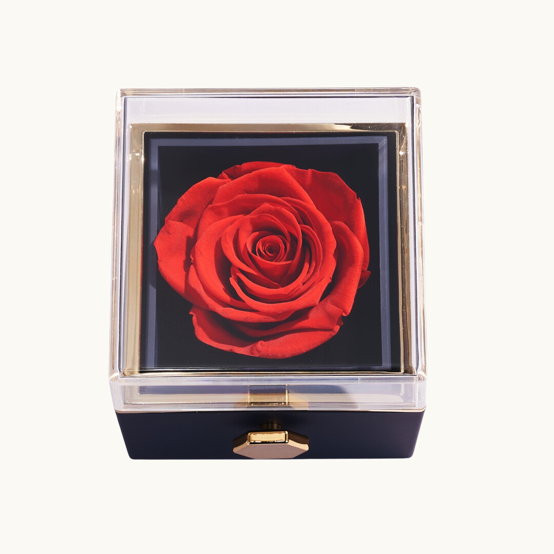 LYNN & CO | Rozen Doos & Knuffel Ring