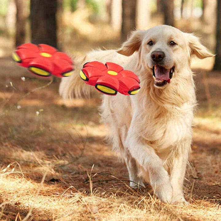 AirPup - Eindeloos Speelplezier Voor Uw Viervoeter 🐶