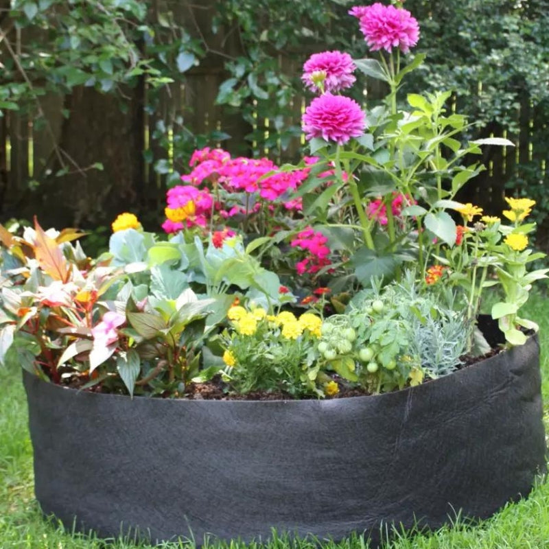 Tuinbedje™ - Leuk, Gemakkelijk & Duurzaam!