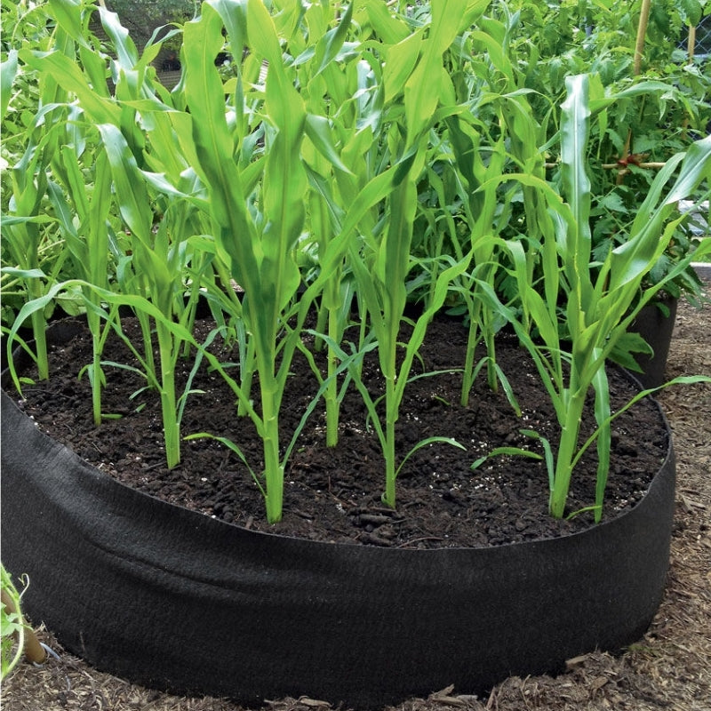 Tuinbedje™ - Leuk, Gemakkelijk & Duurzaam!