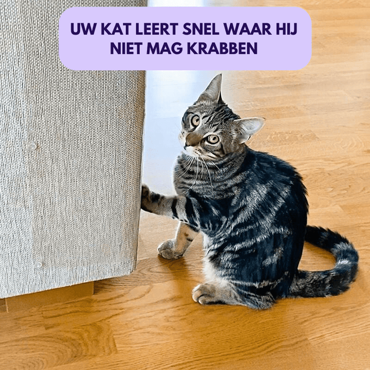 LYNN & CO | ScratchGuard™ - Meubilair Beschermende Vellen