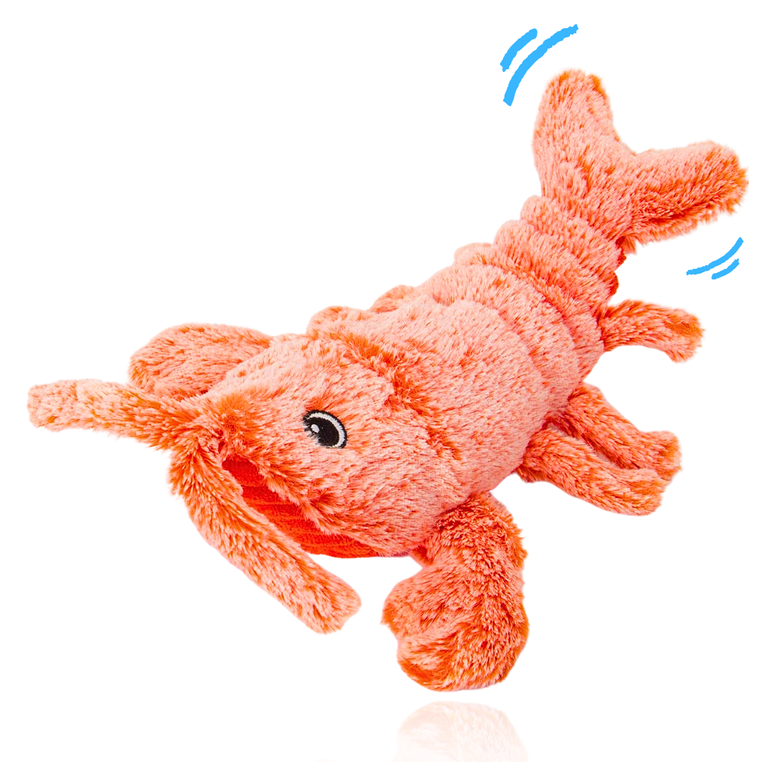 KriebelKreeftje™ - Leuk, schattig & kwalitatief!