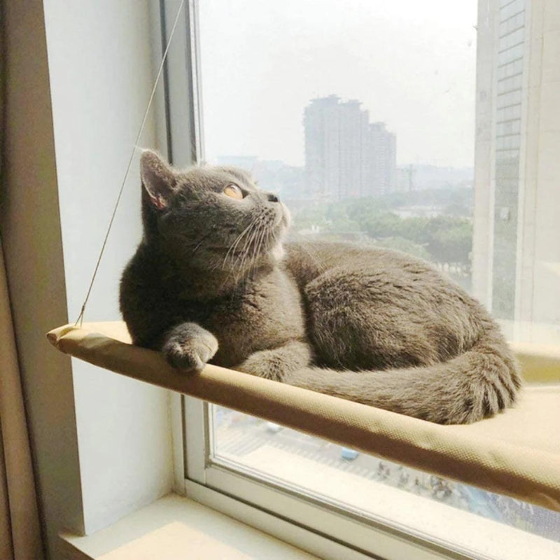 KatLounge™