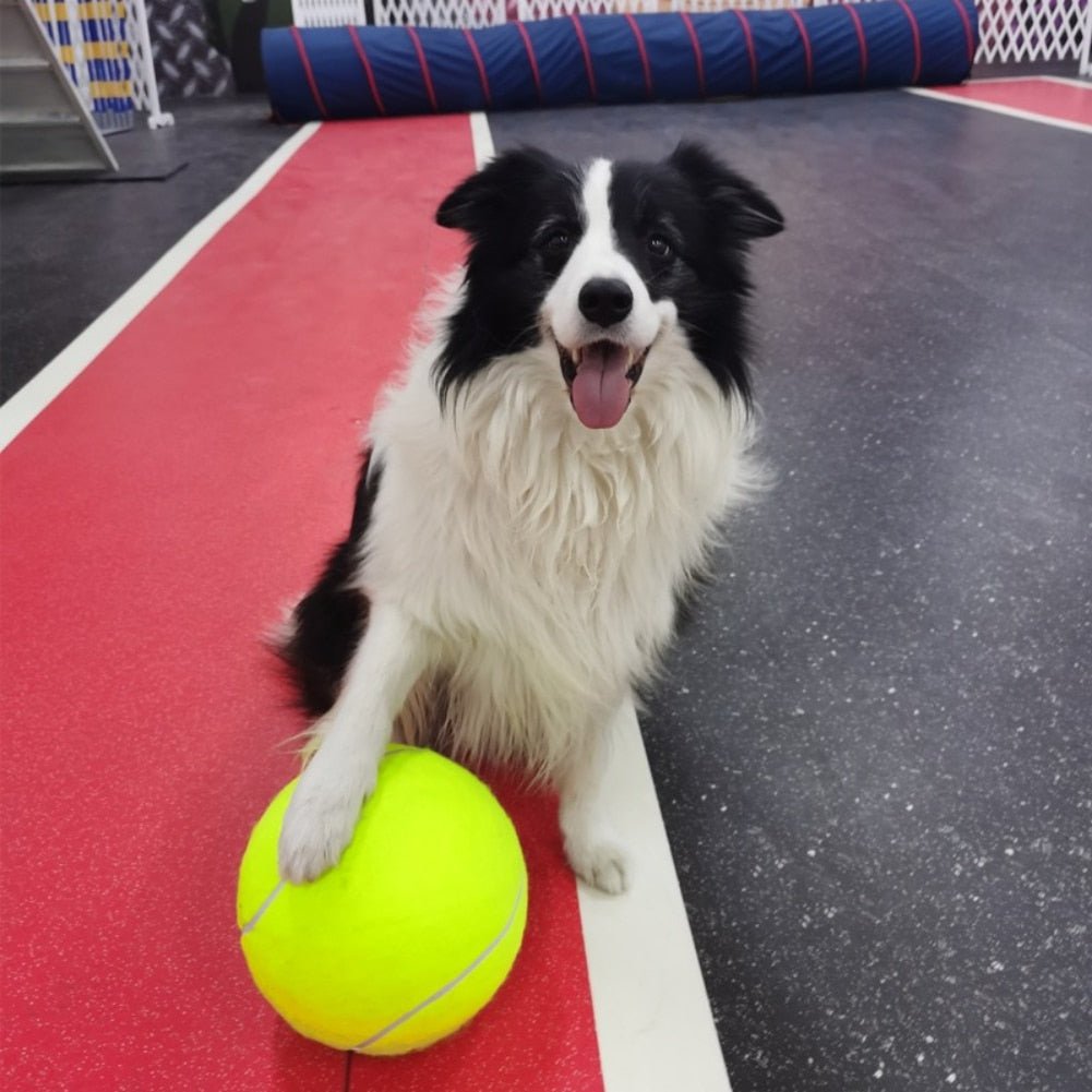 Lynn & Co | Reuze Tennis Bal