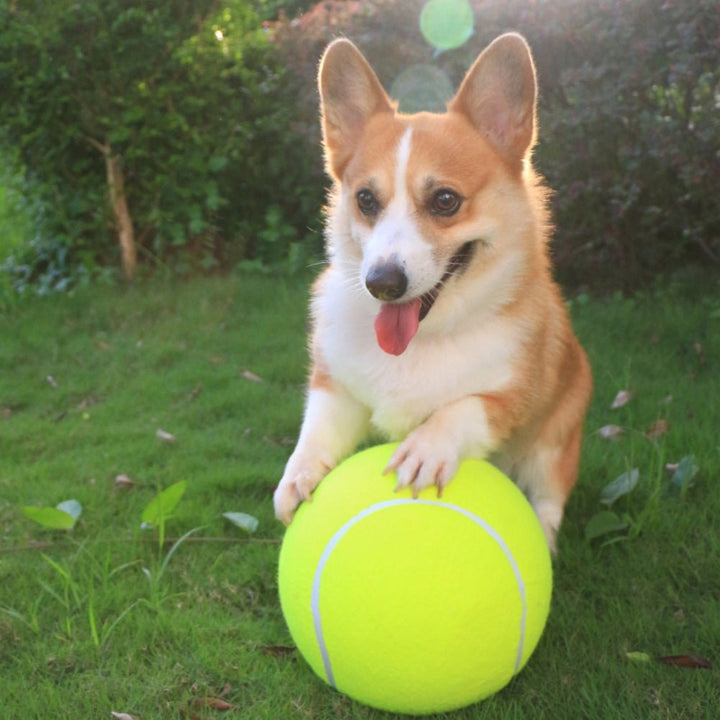 Lynn & Co | Reuze Tennis Bal